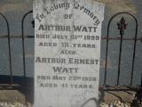 image of grave number 929882
